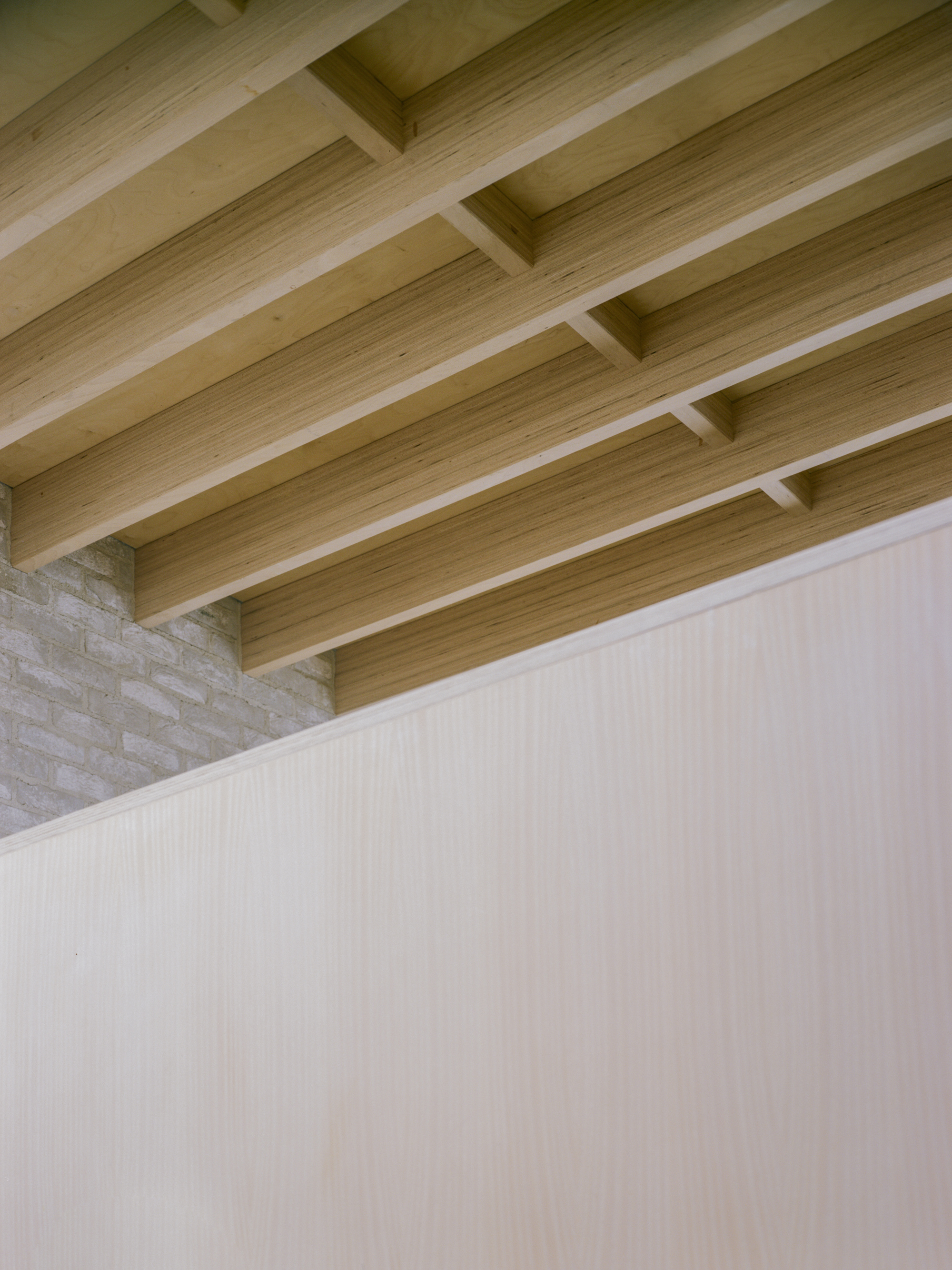 Gallery of Tree House / Fletcher Crane Architects 16