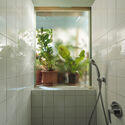 Plants in the Bathroom: Different Ways to Bring Greenery Inside - Image 5 of 24