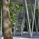 Hardtbergturm Watching Tower / Wolfgang Ott Architekt BDA - Exterior Photography, Forest