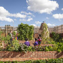 Hackney School of Food de Surman Weston gana el Premio RIBA Stephen Lawrence 2022 - Image 1 of 4
