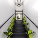 House of the Rosebank Health Village / Frankie Pappas - Interior Photography, Renovation, Stairs, Handrail