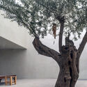 12 Olive Trees House / Elias Khuri Architects - Exterior Photography, Houses