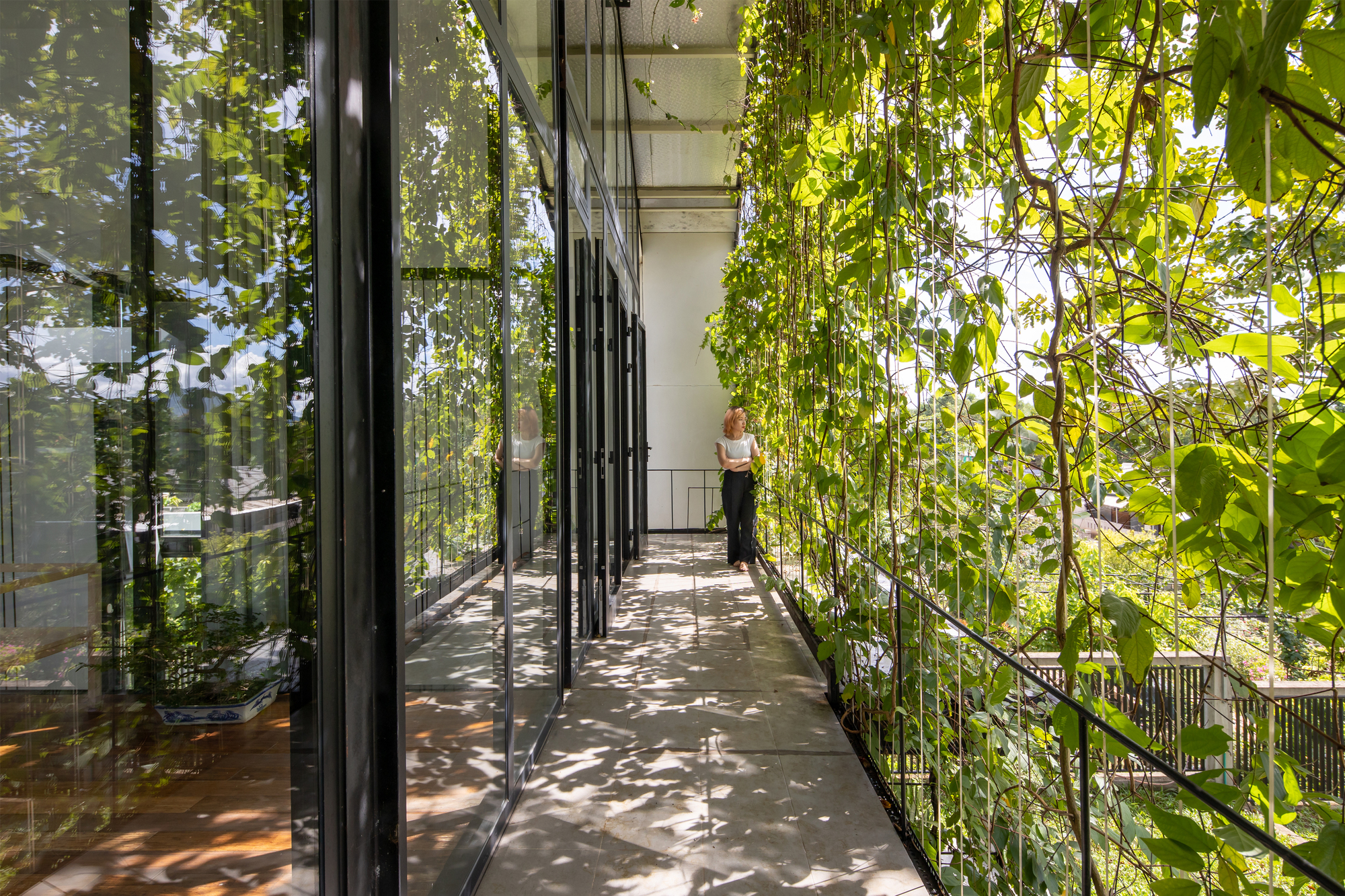Gallery of Hillside House / Cote Architects - 3