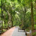 The History of Parque Augusta: Citizen Participation and Mobilization - Imagen 2 de 4