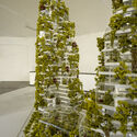 COP27: Stefano Boeri Architetti presenta un prototipo de bosque vertical - Image 2 of 4