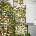 COP27: Stefano Boeri Architetti presenta un prototipo de bosque vertical - Image 4 of 4