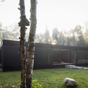Apple Tree House / ACDF Architecture | ArchDaily
