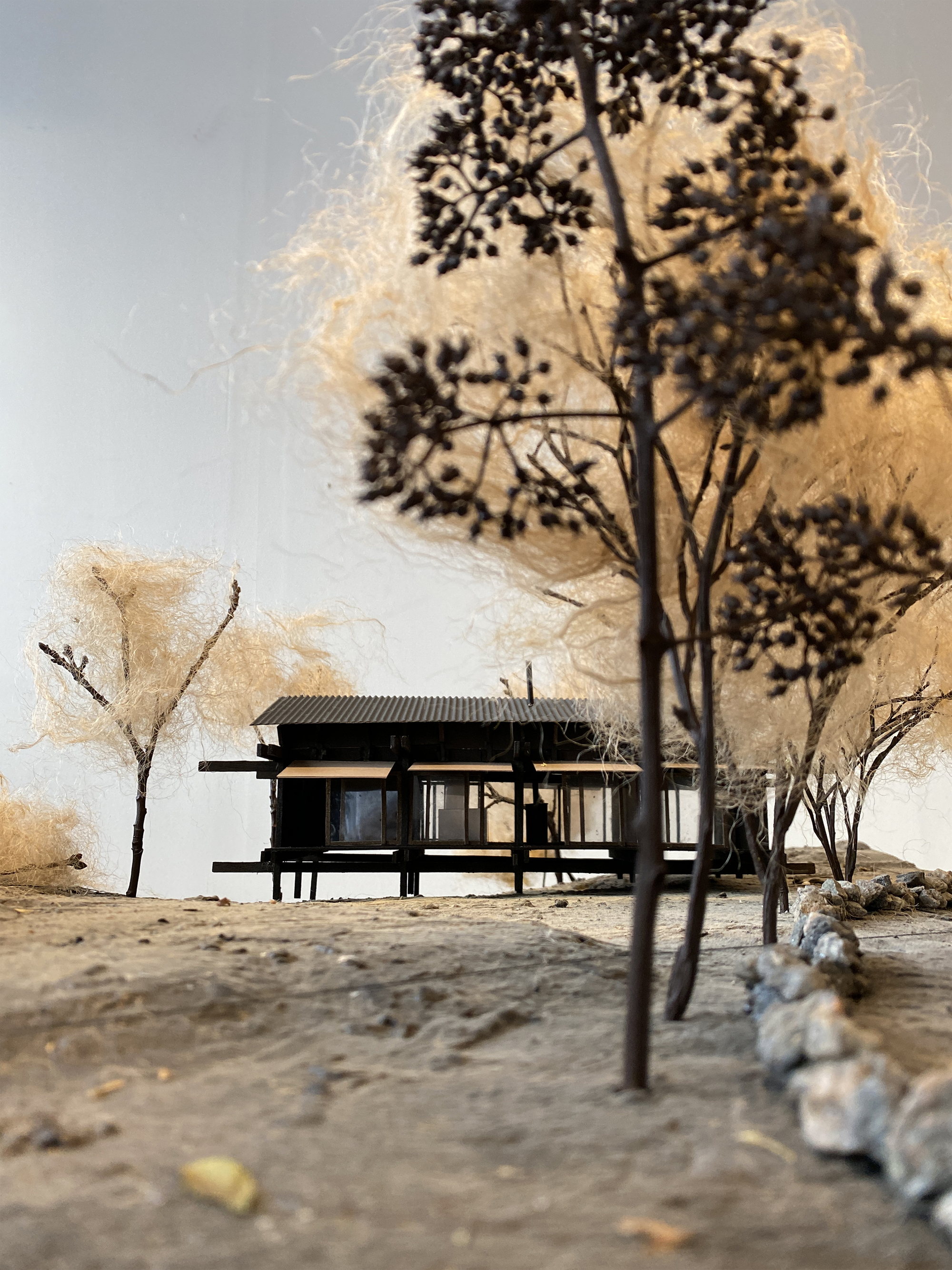 house-tjurpannan-