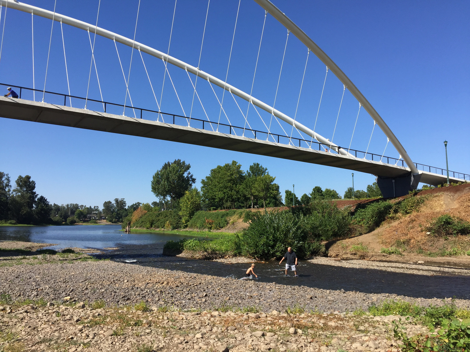 Gallery of Peter Courtney Minto Island Bicycle and Pedestrian Bridge