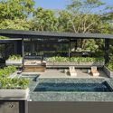 Casa Raintree / Studio Saxe - Fotografía exterior, Casas, Jardín