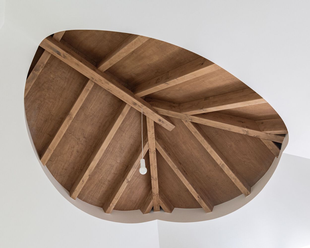 Gallery of Cut Ceilings and Dyslexic Ornaments House / Corpo Atelier 11