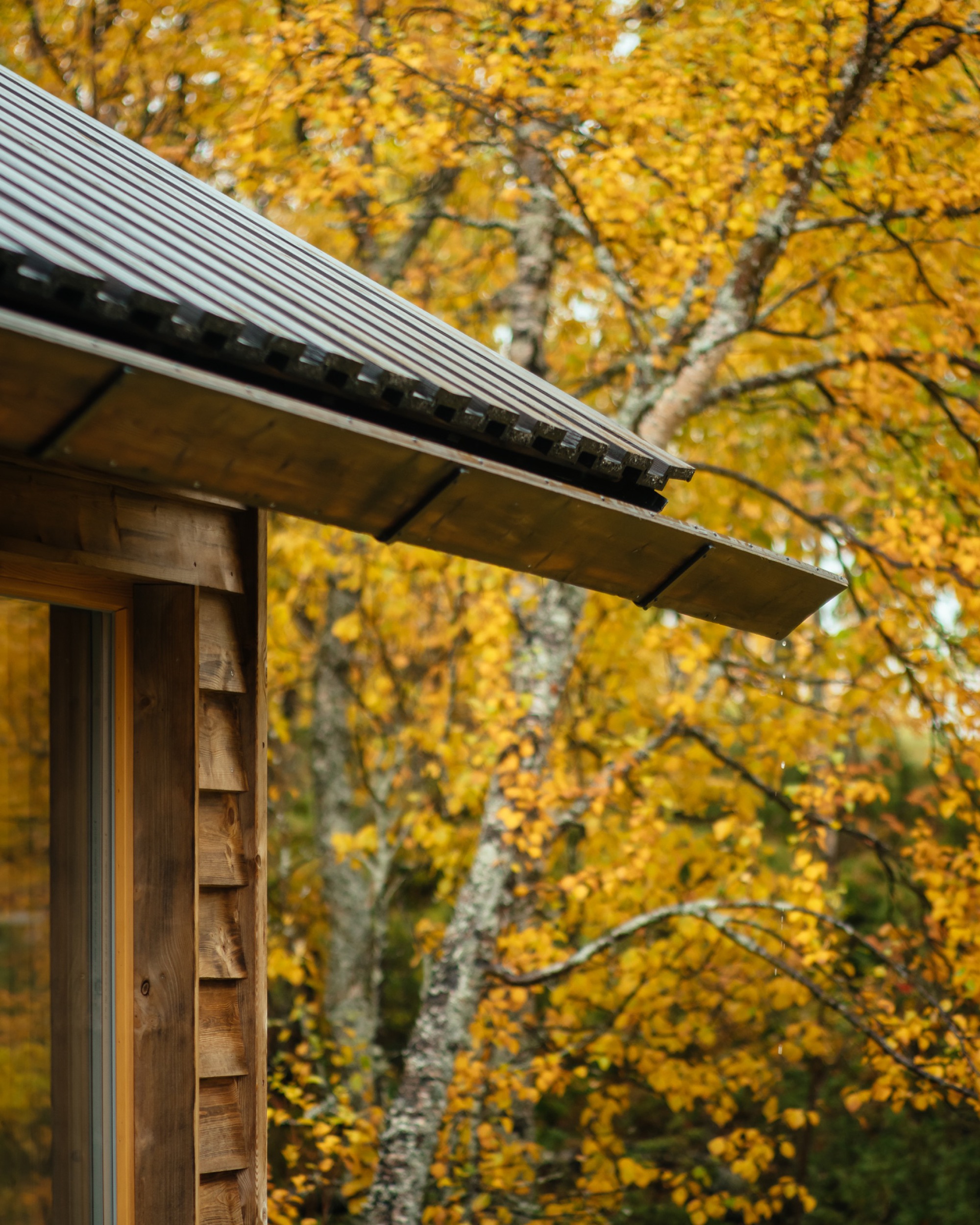 Gallery of Hat House / Tina Bergman Architect 8