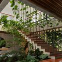 PAF House / Fernán Olarte Pinto / OG Arquitectura & Construcción - Exterior Photography, Residential Architecture, Garden, Facade, Beam
