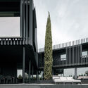 The Black House / MDAMMM + The Black House Studio - Fotografía exterior, En Detalle, Fachada