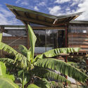 热带房屋：在自然与人造环境之间创造对话 - Image 2 of 4