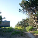 Dune House  / BNLA Architecten - Exterior Photography, Forest