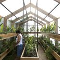 El huerto flotante / Natura Futura + Juan Carlos Bamba - Fotografía interior, Obras De Pequeña Escala, Jardín, Fijación Vigas