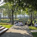 上海西岸滨水公共空间 / Hassell - 建筑图, 花园