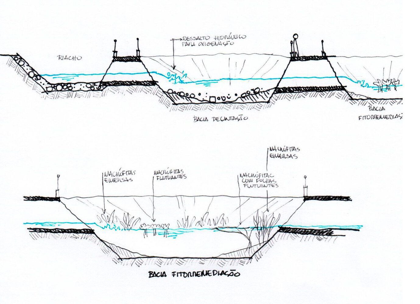 Gallery of Integrating Water Into Architecture and Landscaping