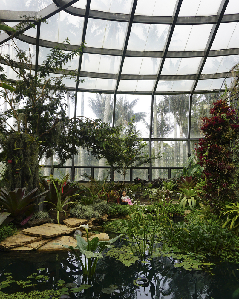 Galeria De Antes E Depois O Tropic rio Do Jardim Bot nico De Bogot 13 Galeria De Antes E Depois O Tropic rio Do Jardim Bot nico De Bogot 13