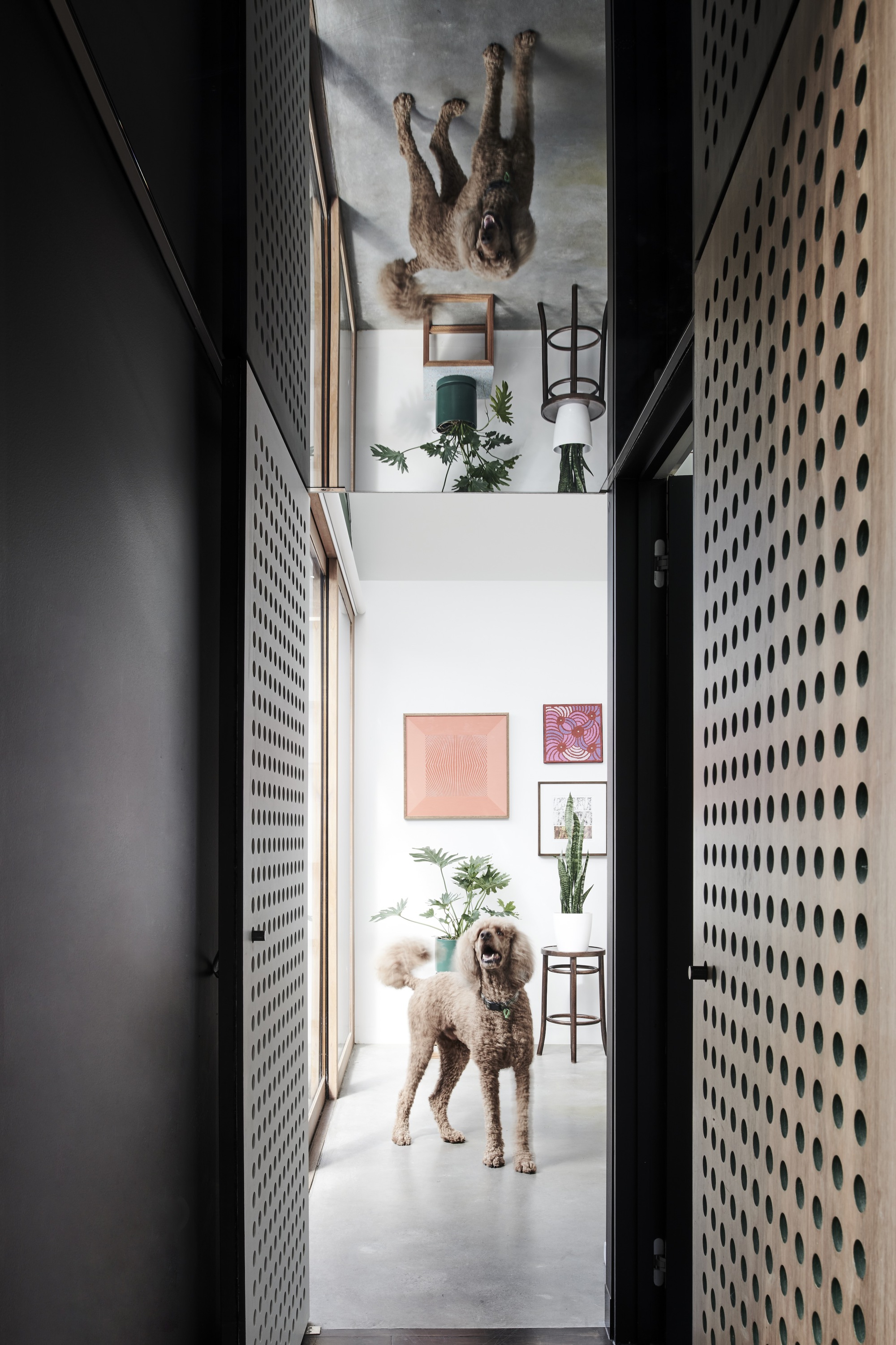 Gallery of Hot Top Peak House / FIGR Architecture & Design 22