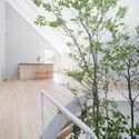Casa Coberta com Membrana  / Yuko Nagayama & Associates + shohei yoshida + associates - Fotografia de Interiores, Corrimão