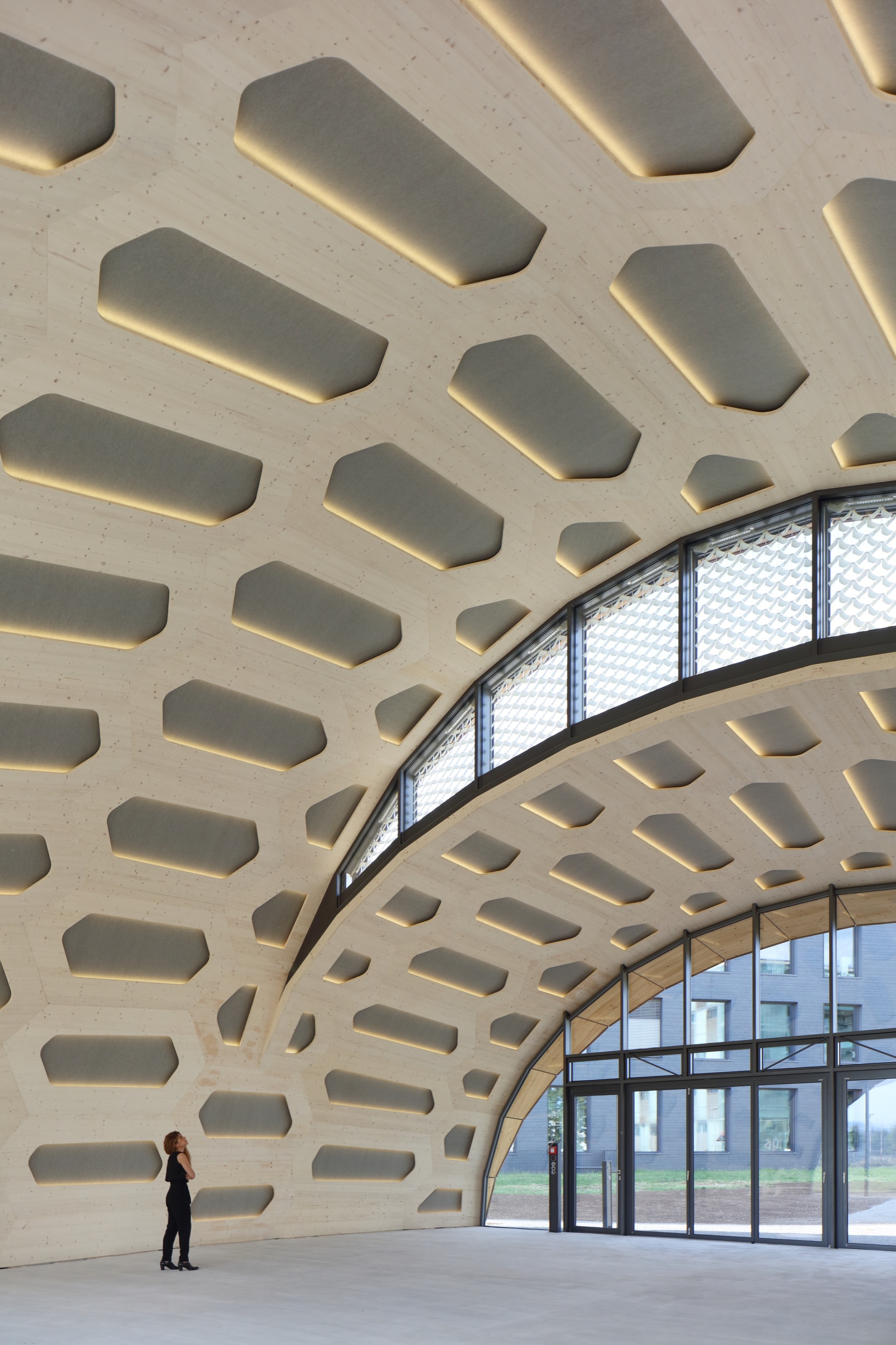 LivMatS ICD ITKE University Of Stuttgart IntCDC 14 LivMatS ICD ITKE University Of Stuttgart IntCDC 14