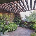 Eco Oasis House / I-Con Architects and Urban Planners - Exterior Photography, Residential, Garden, Facade, Beam, Chair
