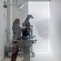 Rosvet Veterinary Clinic / VIDA Arquitectura - Interior Photography, Veterinary