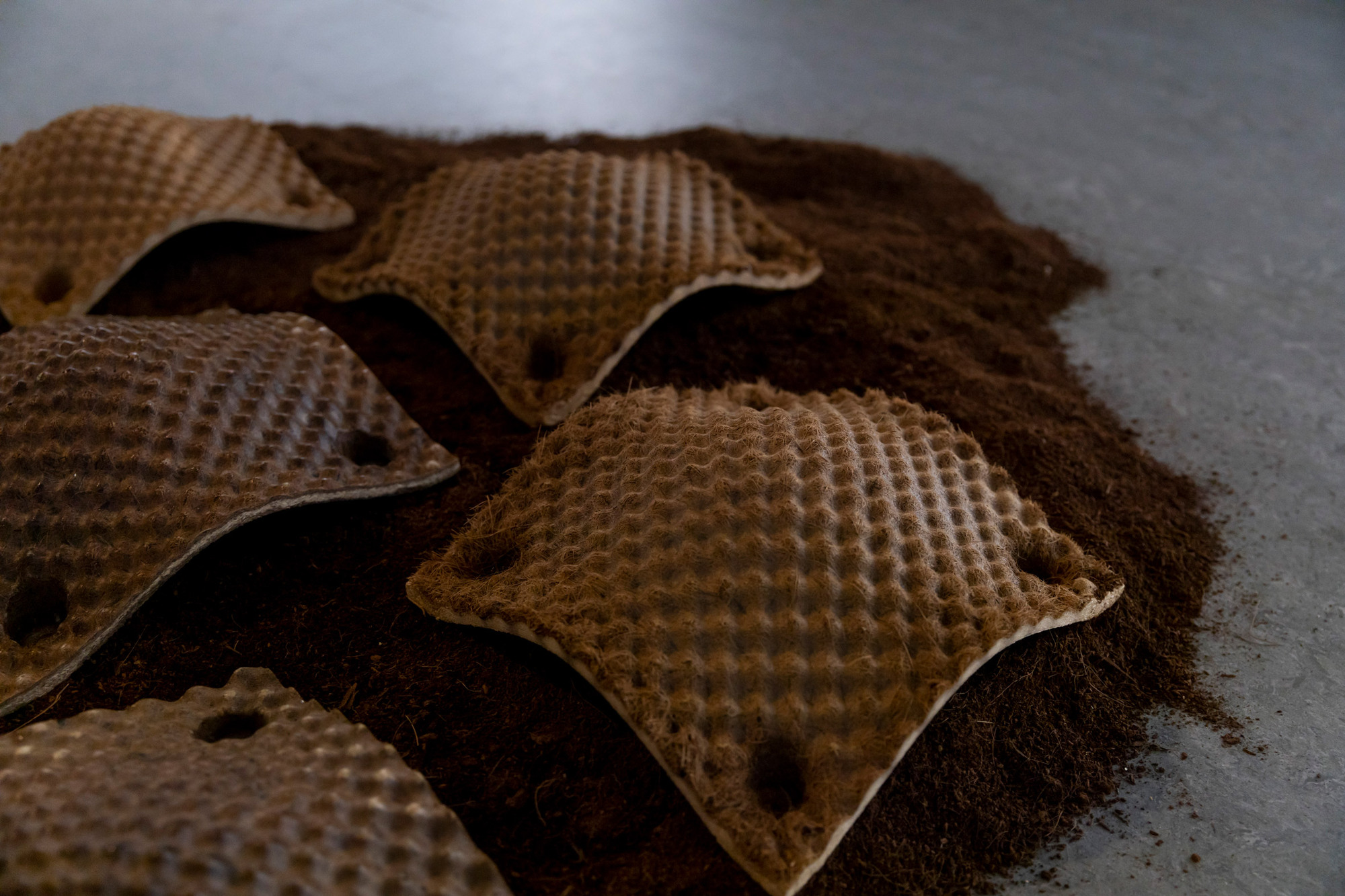 Gallery of Willow Technologies Transforms Agricultural ByProducts Into