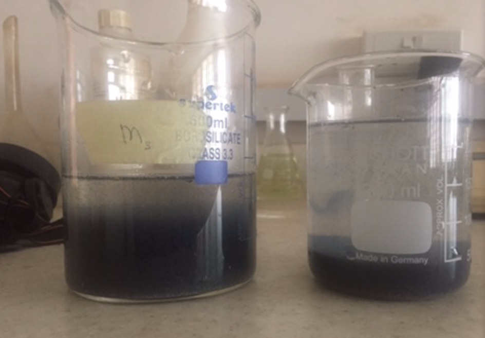 Gallery of Willow Technologies Transforms Agricultural ByProducts Into