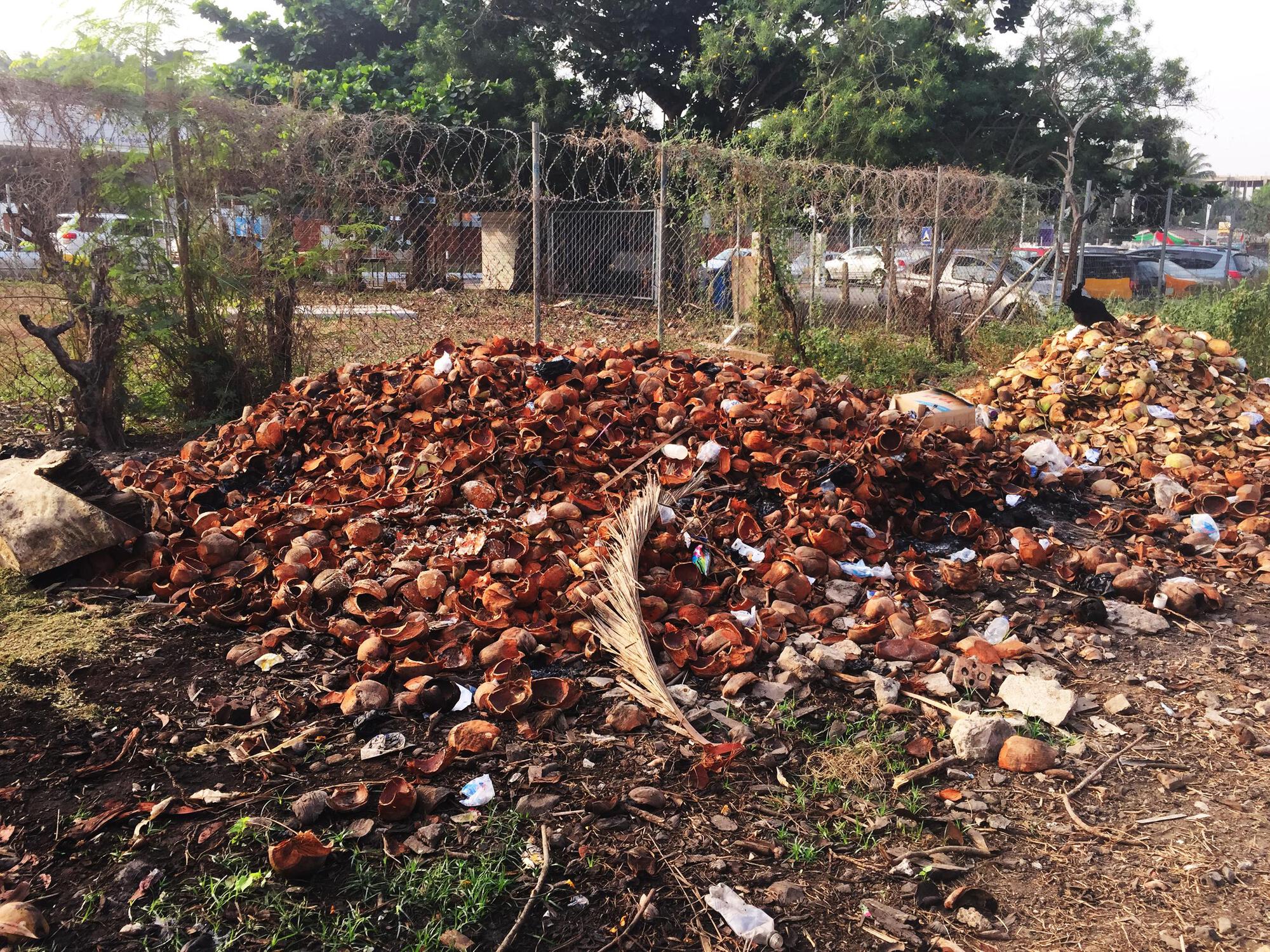 Gallery of Willow Technologies Transforms Agricultural ByProducts Into