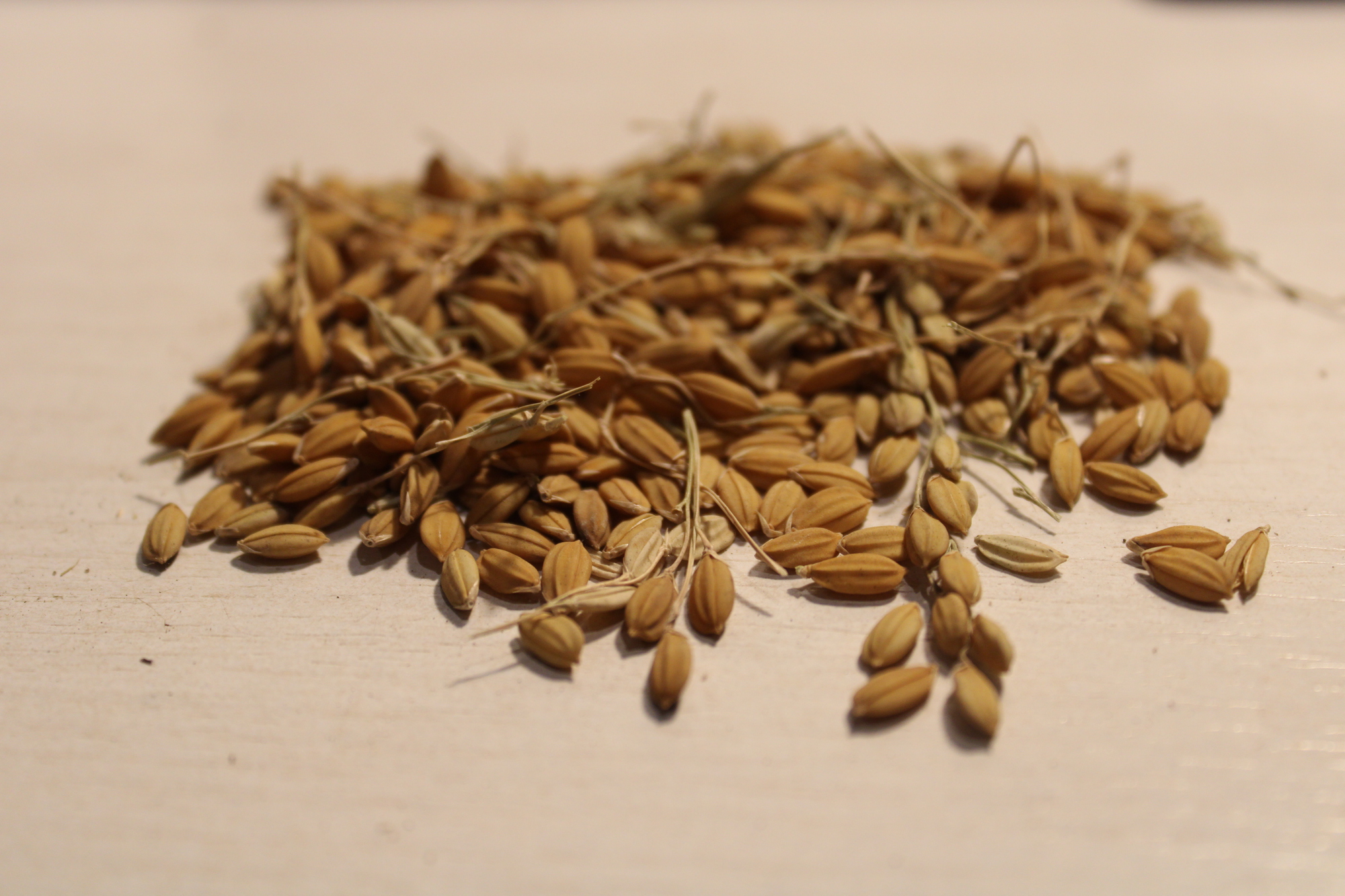 Gallery of Willow Technologies Transforms Agricultural ByProducts Into