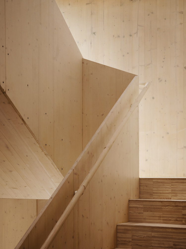 Gallery of Natural or Artificially Pigmented Materials? Exploring Color