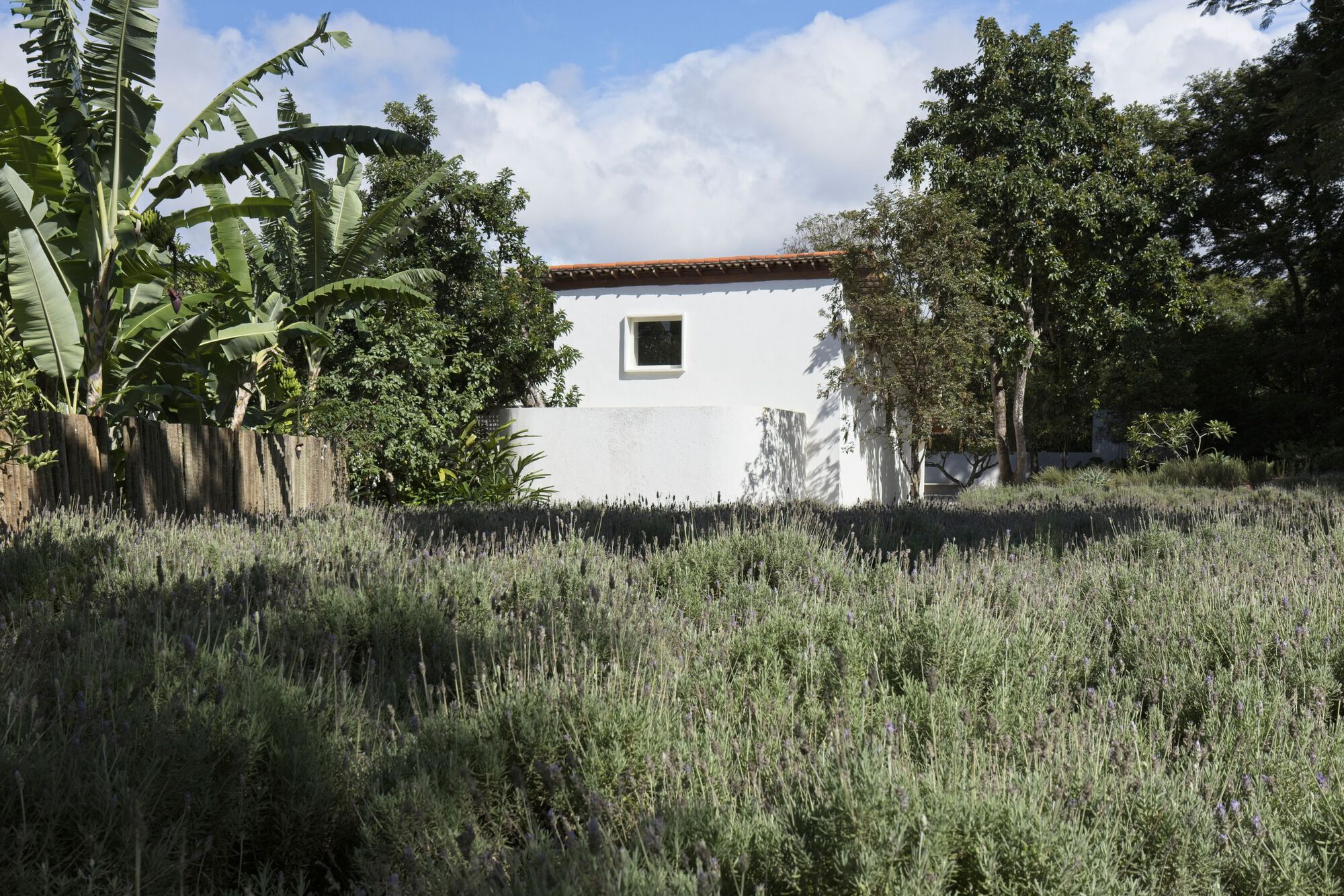 Galeria de Casa Alecrim / Alan Chu - 16