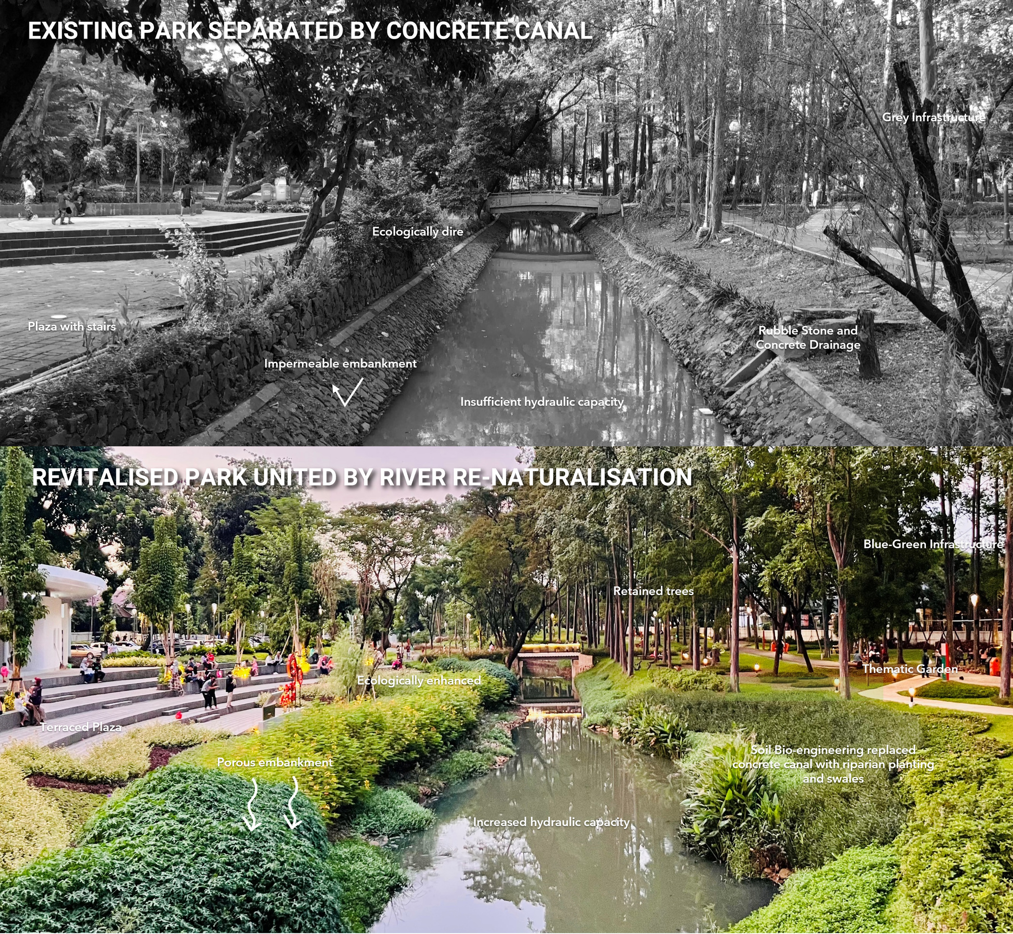 Hitomilia: Before And After Photos - bx7f4c0