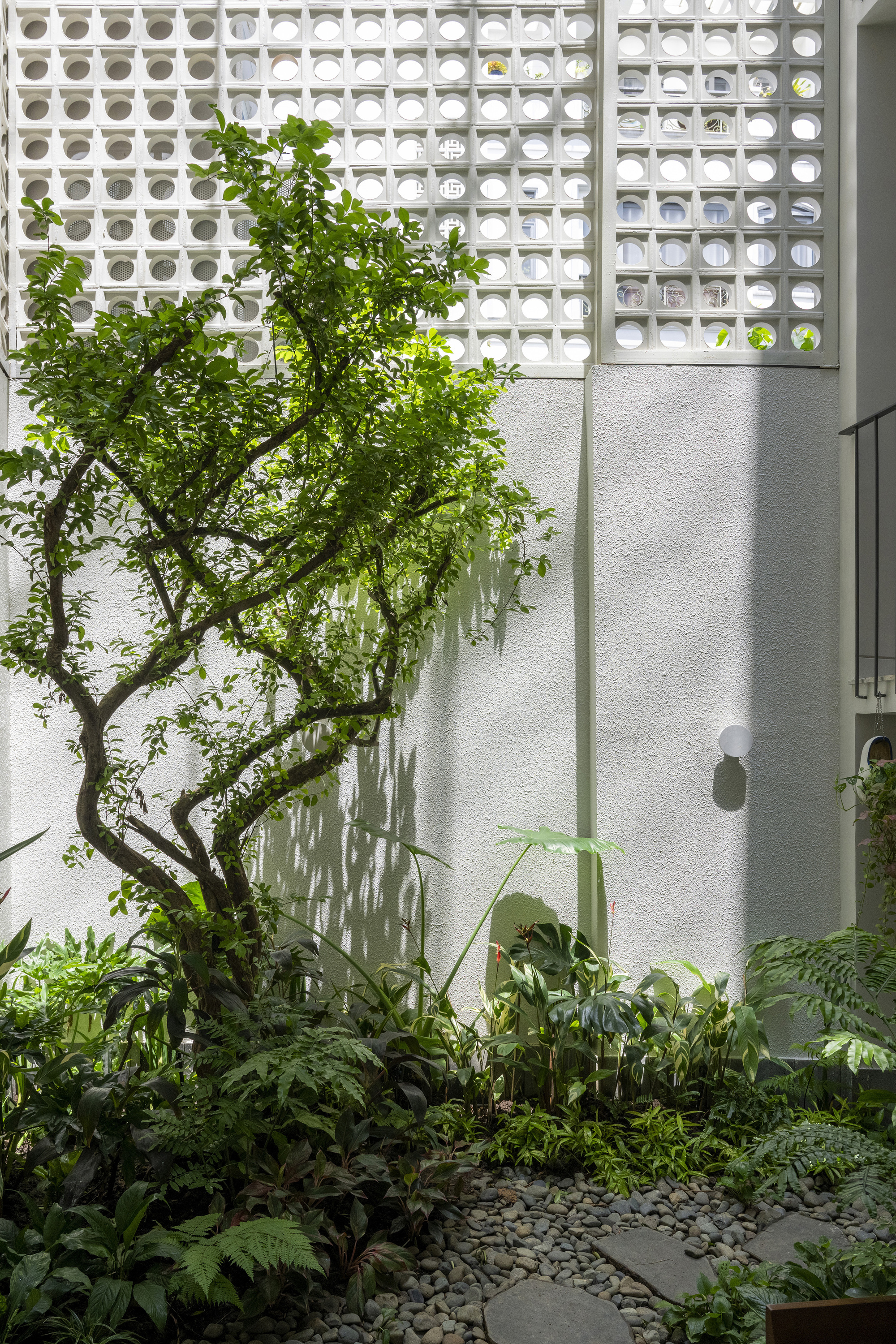 Gallery of Secret Garden House / ROOM+ Design & Build - 11