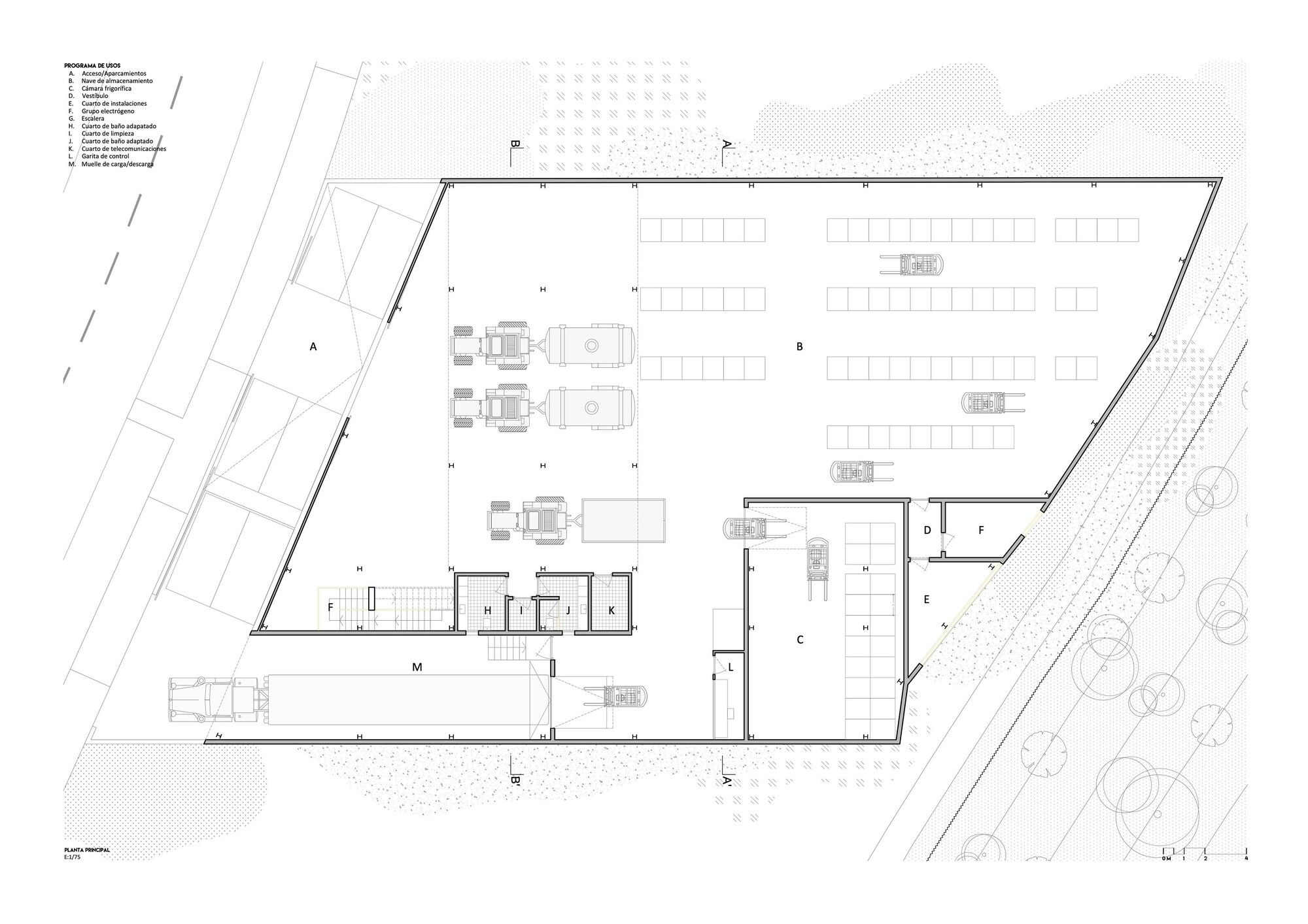 Gallery of Fruits and Vegetables Center Raspa y Amagado