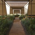 Parecela Organic Dining Space / Armando O. Pandolfi - Exterior Photography