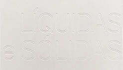 Líquidas e Sólidas  - lançamento de livro na Livraria Quixote, Belo Horizonte