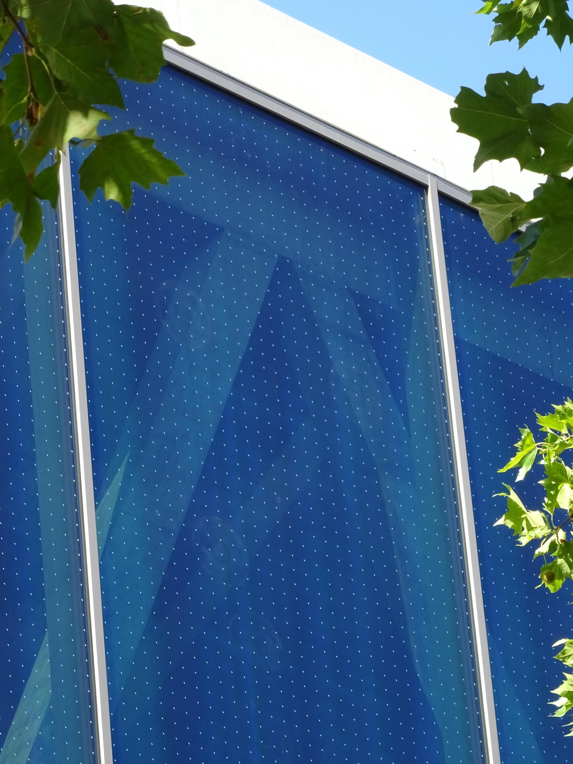 Gallery of The Importance of BirdSafe Glass in Exteriors The Case of