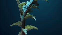 Naturas: Assim eu vejo