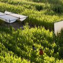 Poonehzar (Farm) / Shid Architects - Exterior Photography, Garden