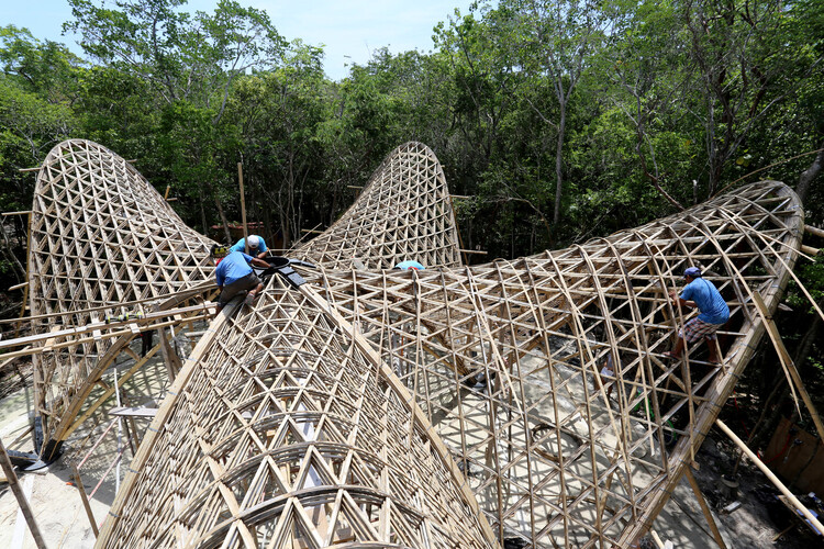 Expandiendo los límites del bambú: un caso de estudio de ingeniería estructural - Imagen 1 de 12