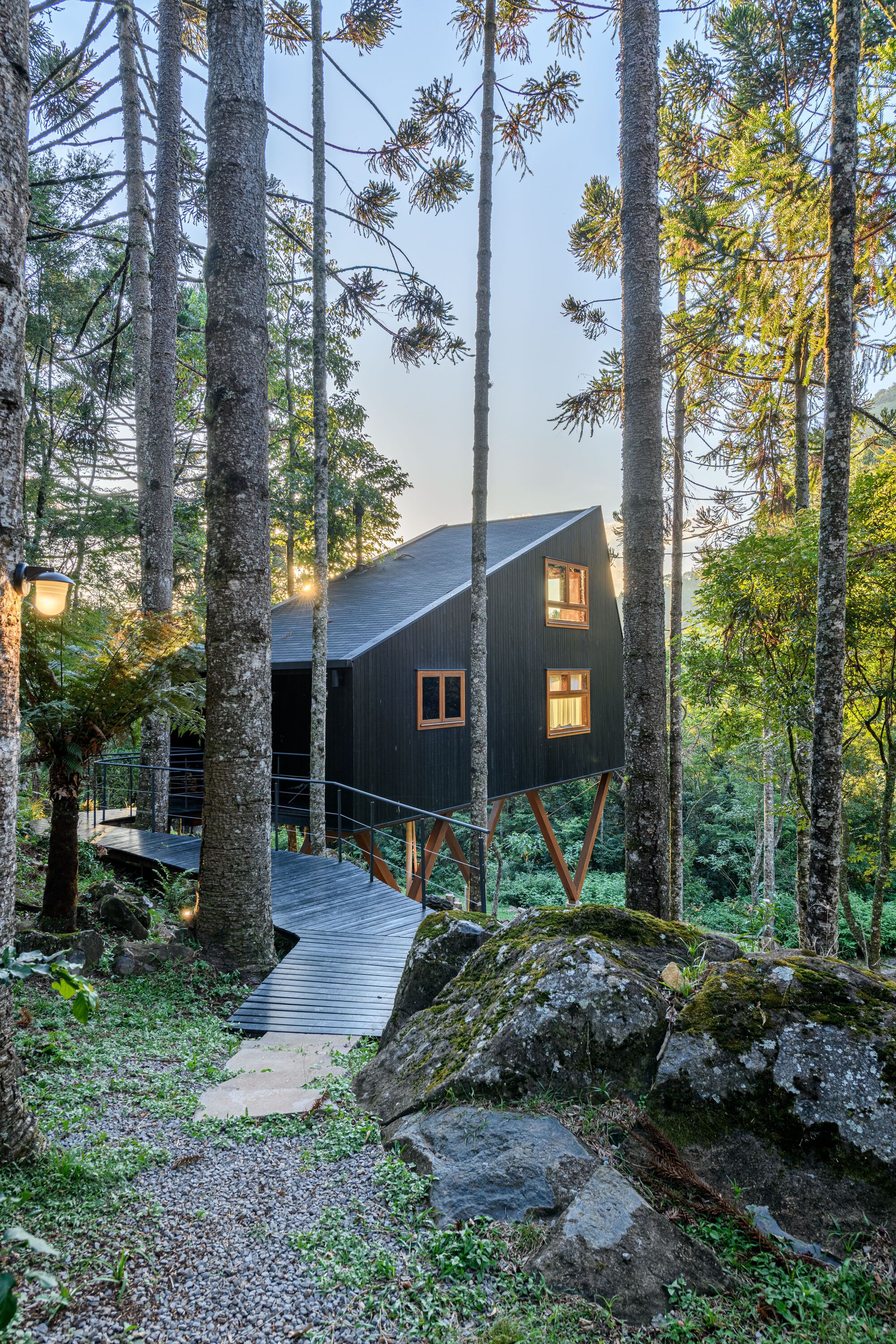 Gallery of Tree House / Íntegra Studio Arquitetura - 17