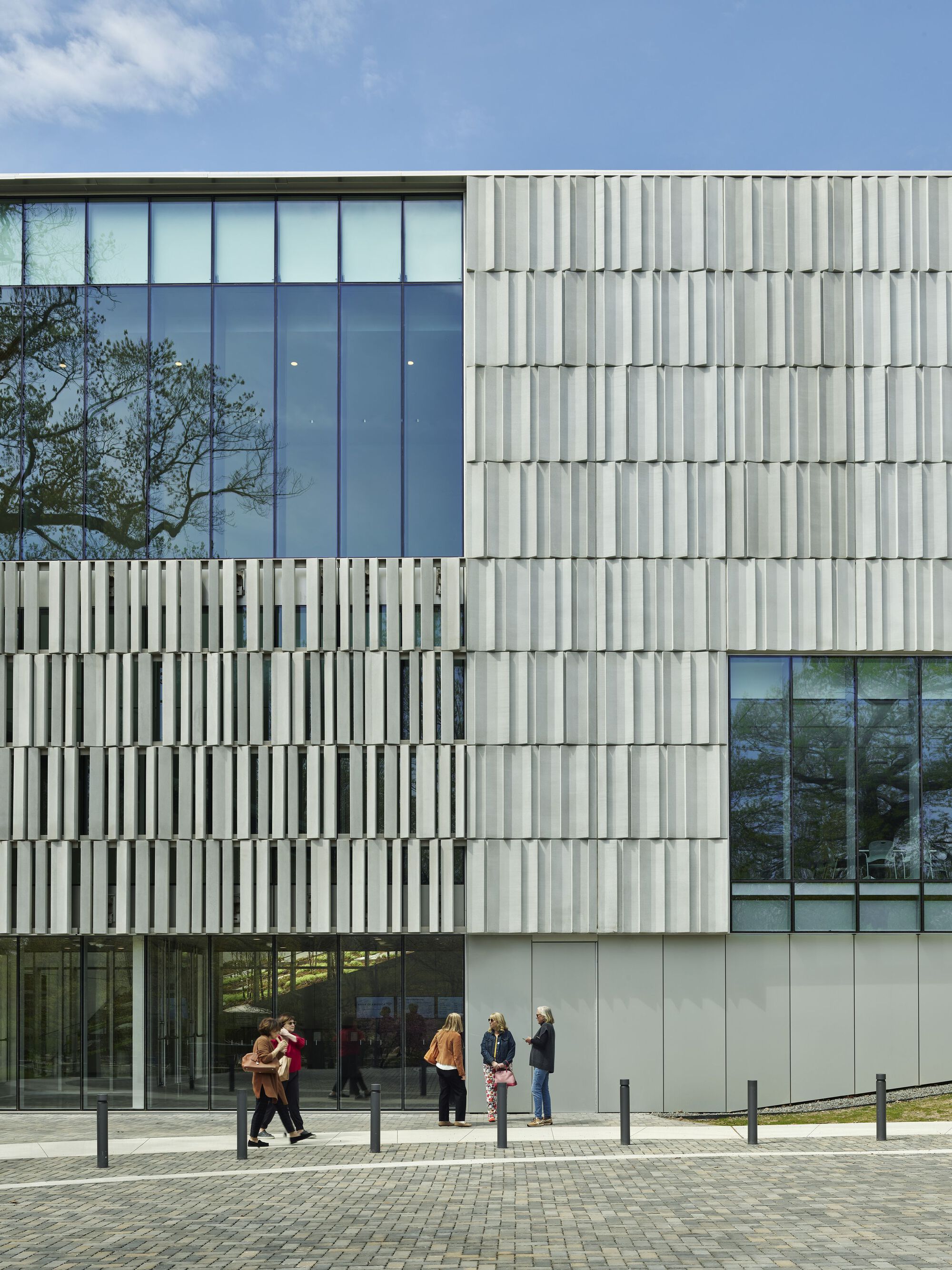 Timothy Ripple Gallery of Bruce Museum / Eskew+Dumez+Ripple - 9