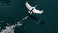 Ed Beltrão lança calendário "Bahia, Ensaio Sutil" inspirado pelo legado de Pierre Verger