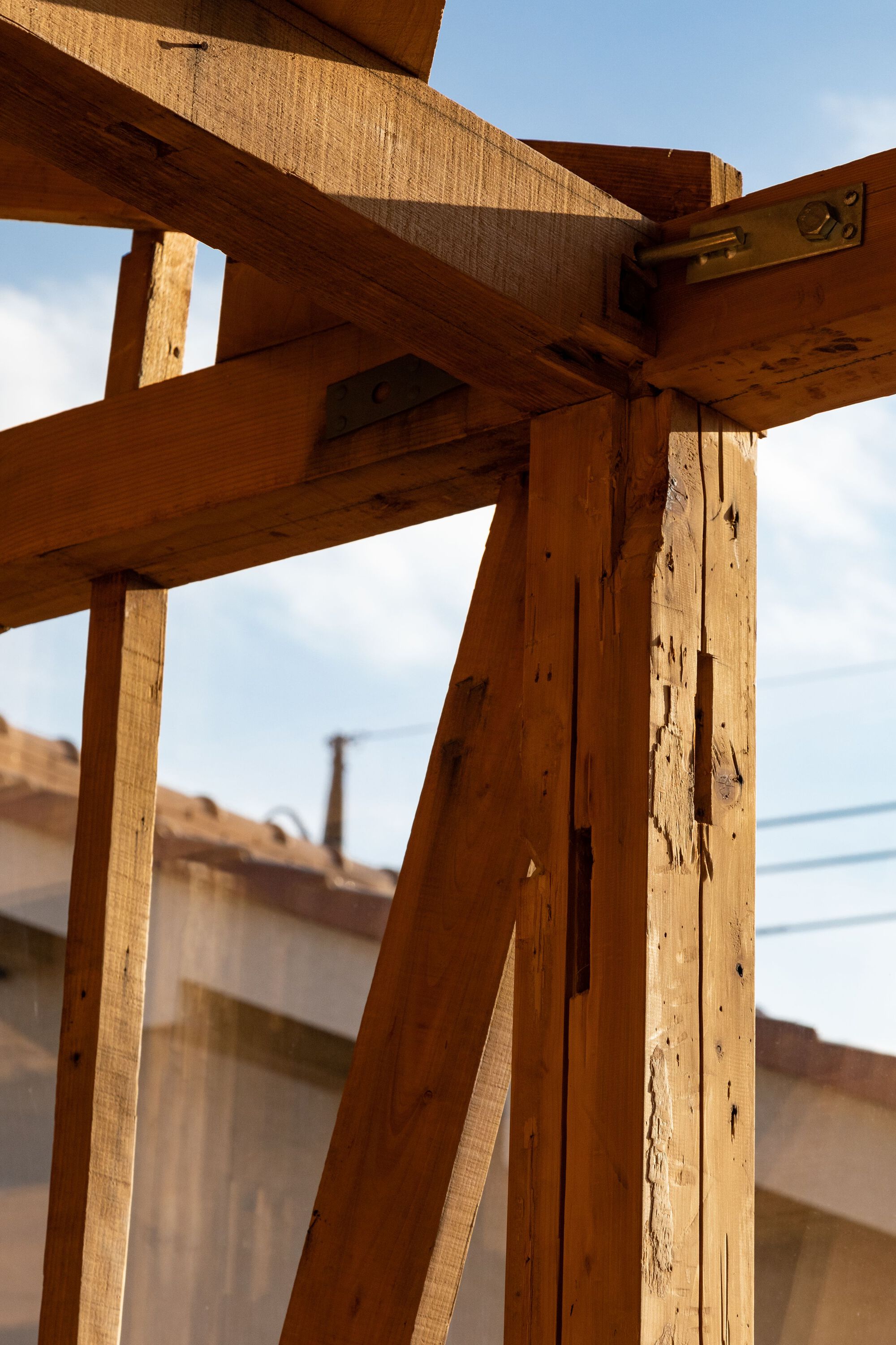 Gallery of Father and Son's House / Unemori Architects - 30