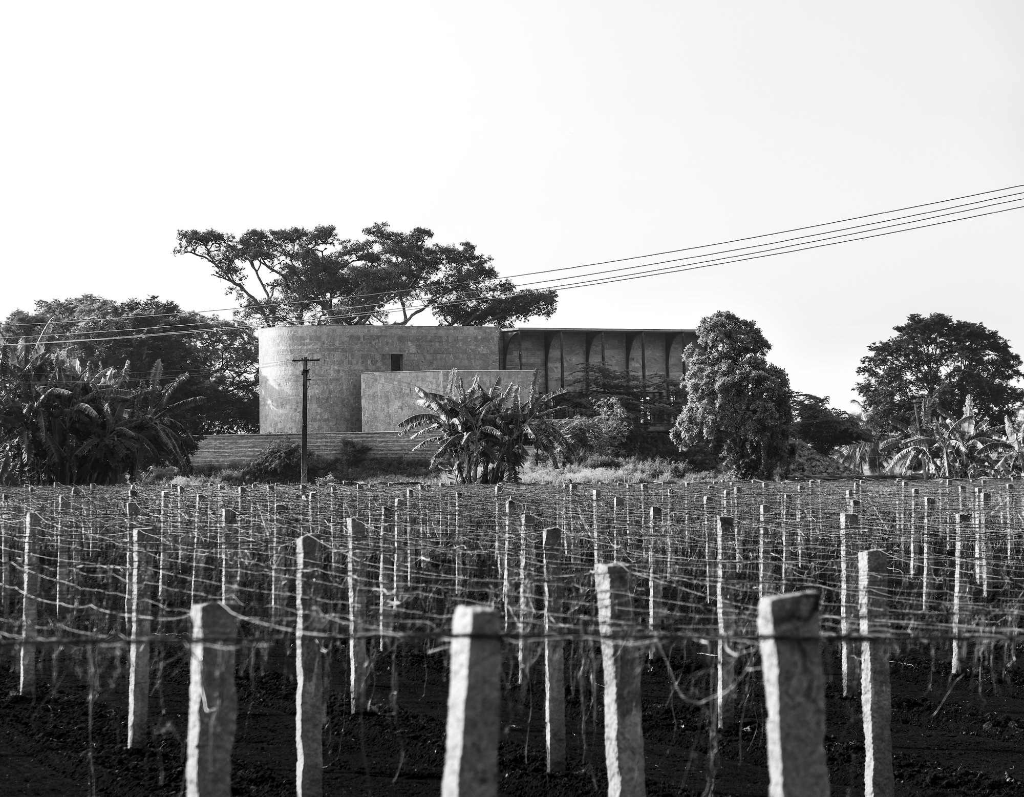 Gallery of One Tree Hill Community Hall / Samira Rathod Design Atelier 26