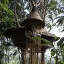 Casa del árbol en Bambu Indah / IBUKU - Fotografía exterior, Casas, Jardín, Bosque